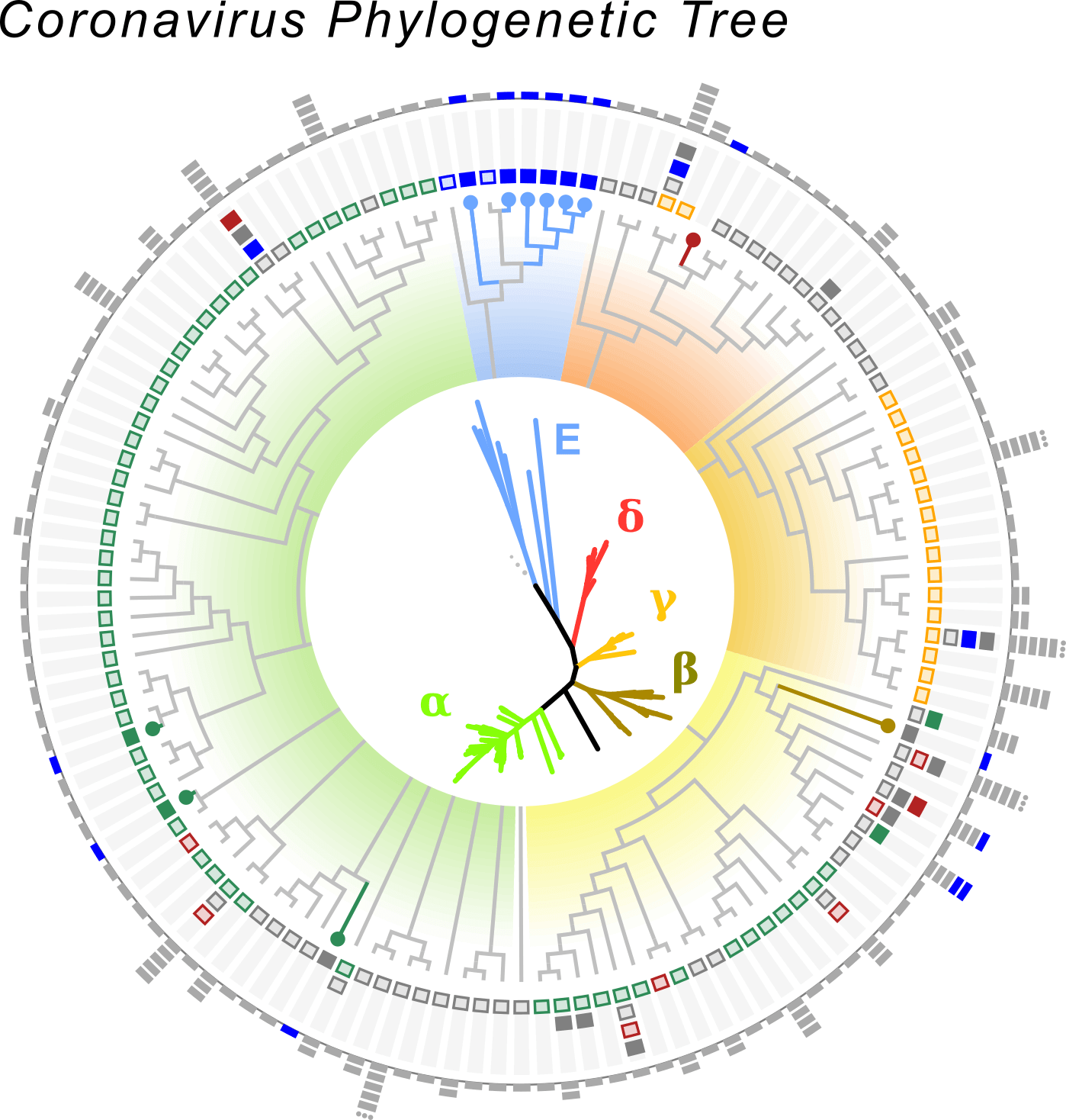 A diagram representing the tree of corona-like virus samples identified using Serratus